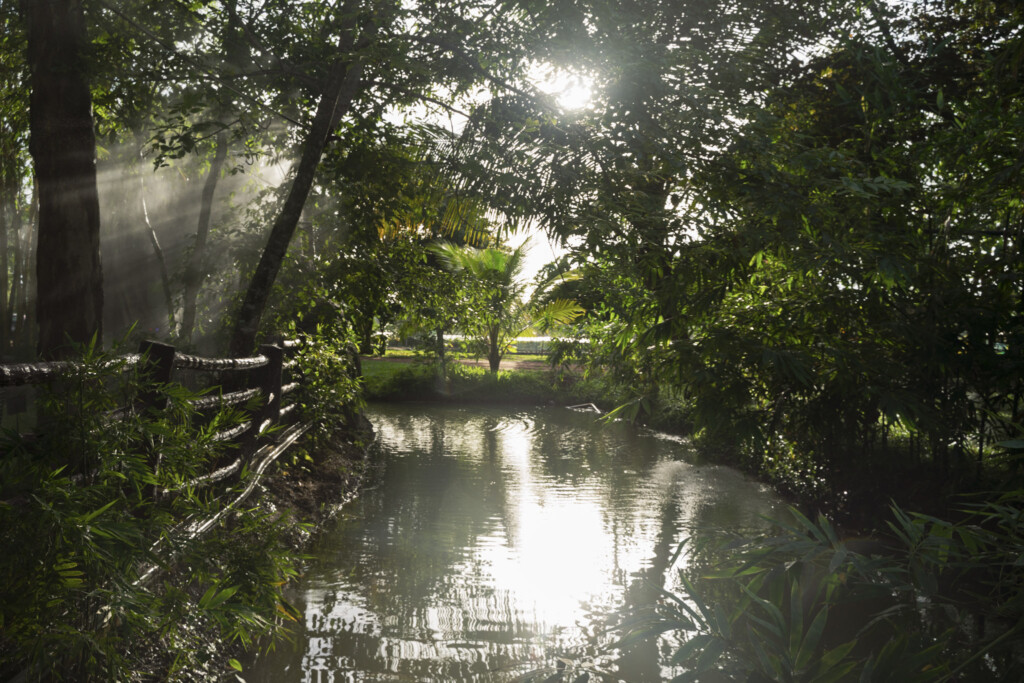 A green paradise, exploring the lush orchards of Giby Farm