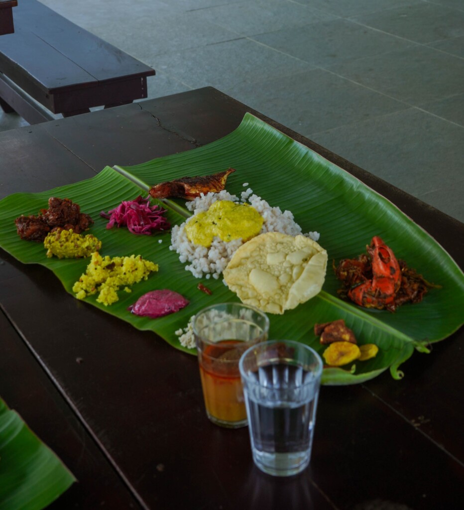 Lunch time at Giby farm