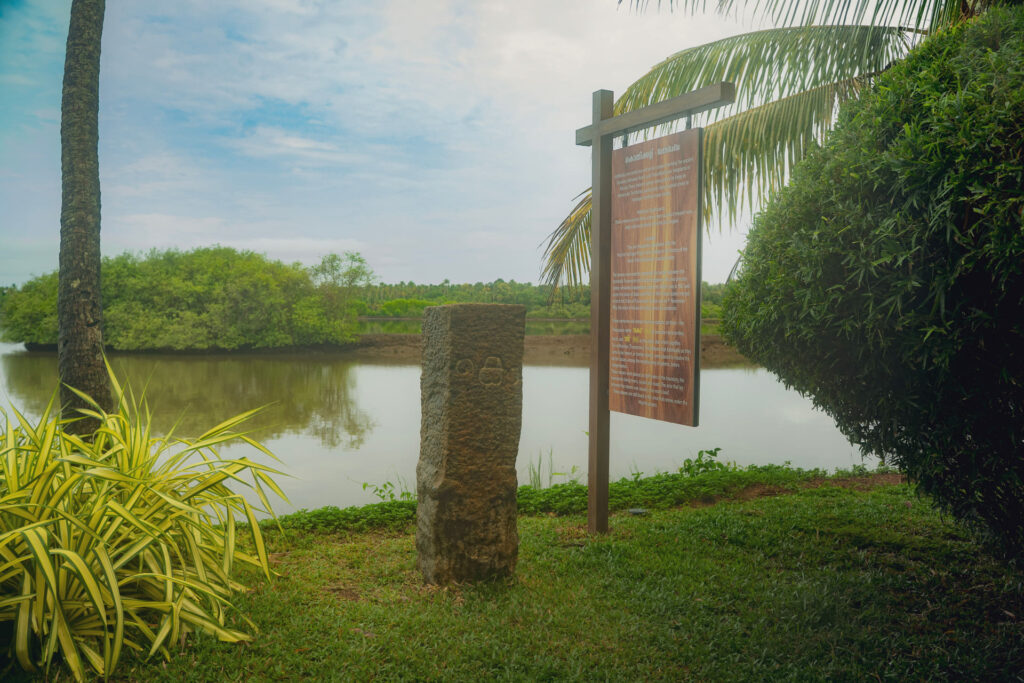 The Kothikallu spot beside the pond at Giby Farm surrounded by greenery