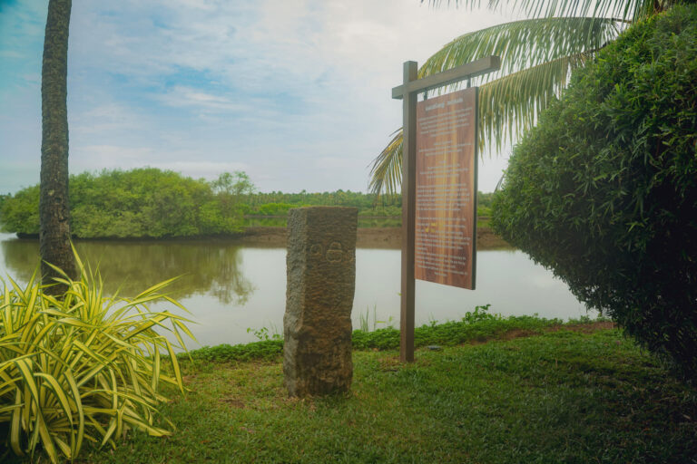 The Kothikallu spot beside the pond at Giby Farm surrounded by greenery
