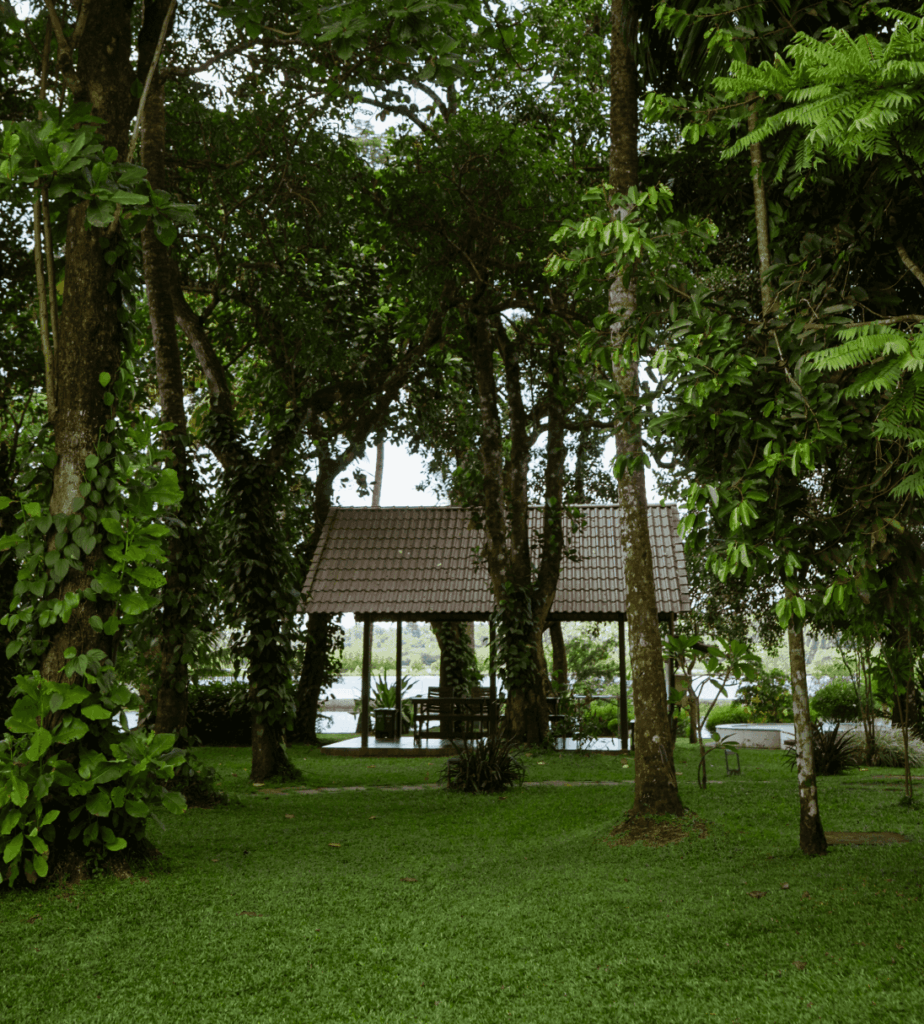 Gazebo shaded by tall trees on the lawn at Giby Farm