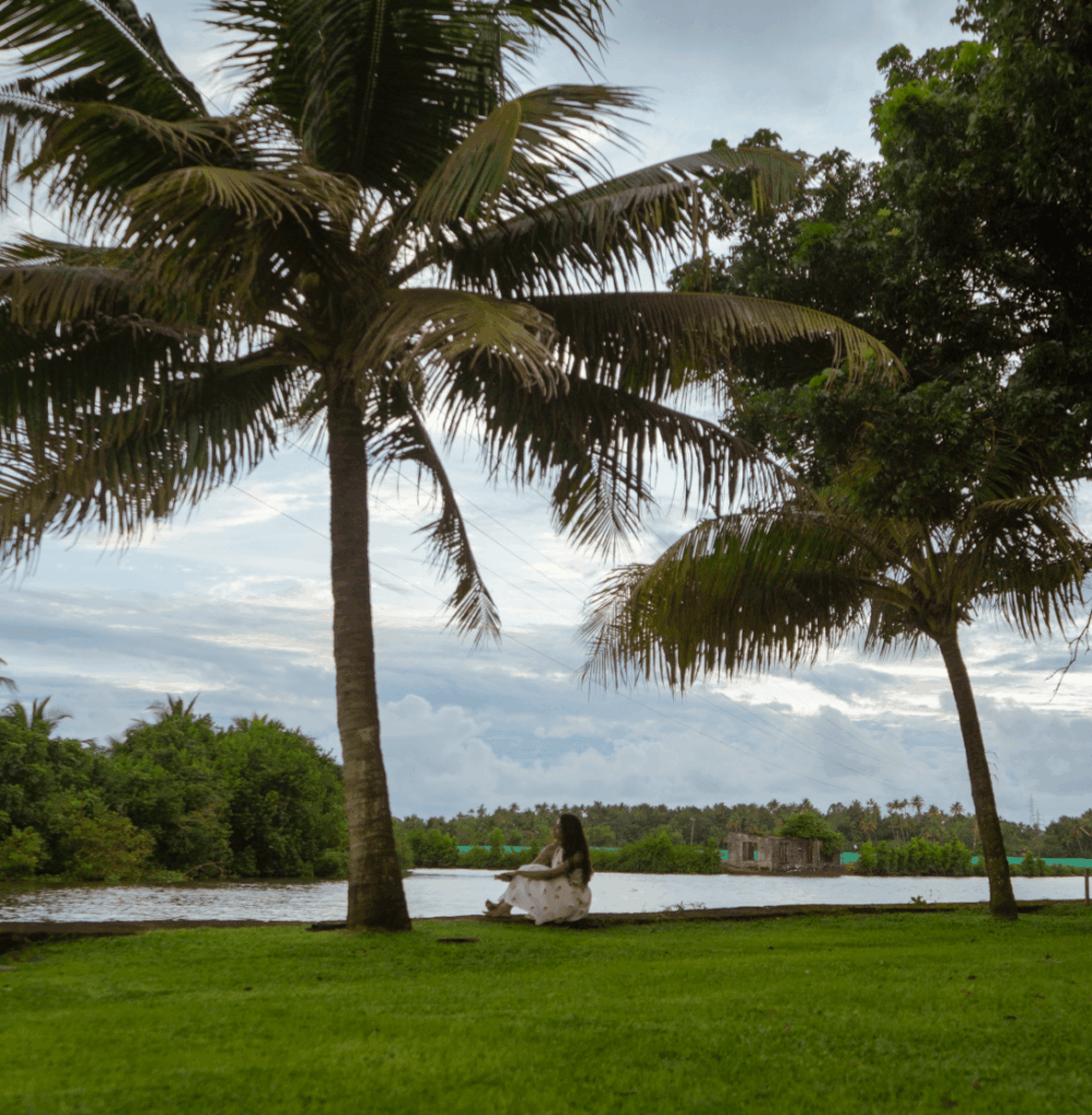 Coconut palms leaning over the waterfront lawn at Giby Farm