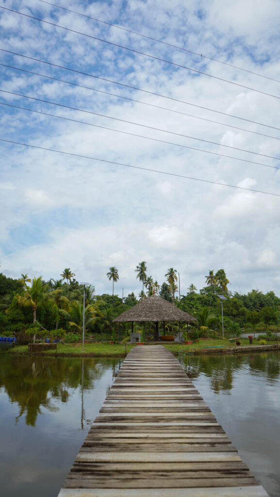 Wooden walkway leading across the water to the island huts at Giby Farm