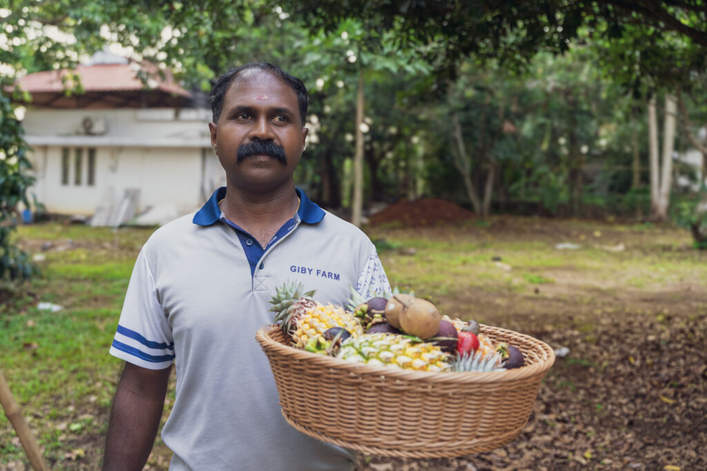 Farm hand holding a basket of freshly harvested fruit at Giby Farm