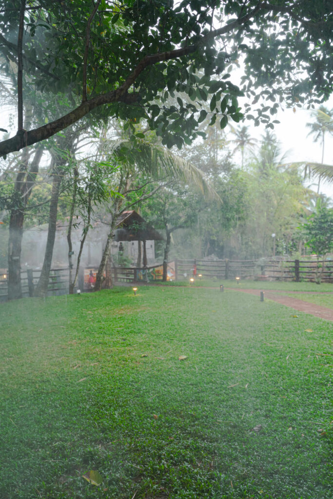Sprinklers watering the lawn on a misty morning at Giby Farm