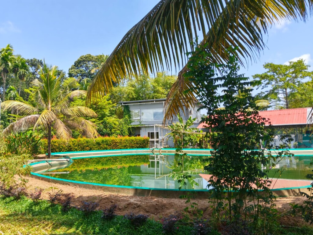 Swimming pool with the villas and garden behind it at Giby Farm