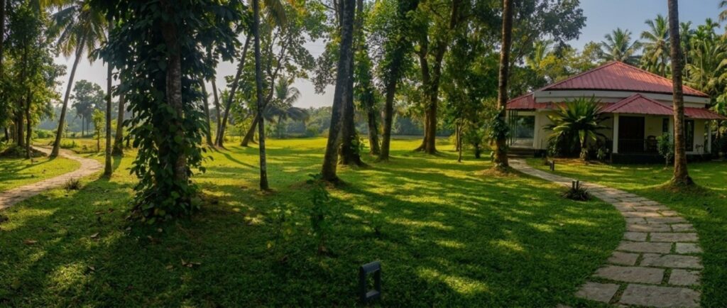 Cottage set within the coconut grove at Giby Farm