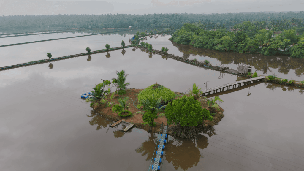 Aerial view of the island and its bridge over the backwater at Giby Farm